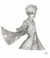 /album/fotogaleria/bleachichigohollow1-site-jpg/